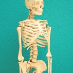 ciri-ciri osteoporosis